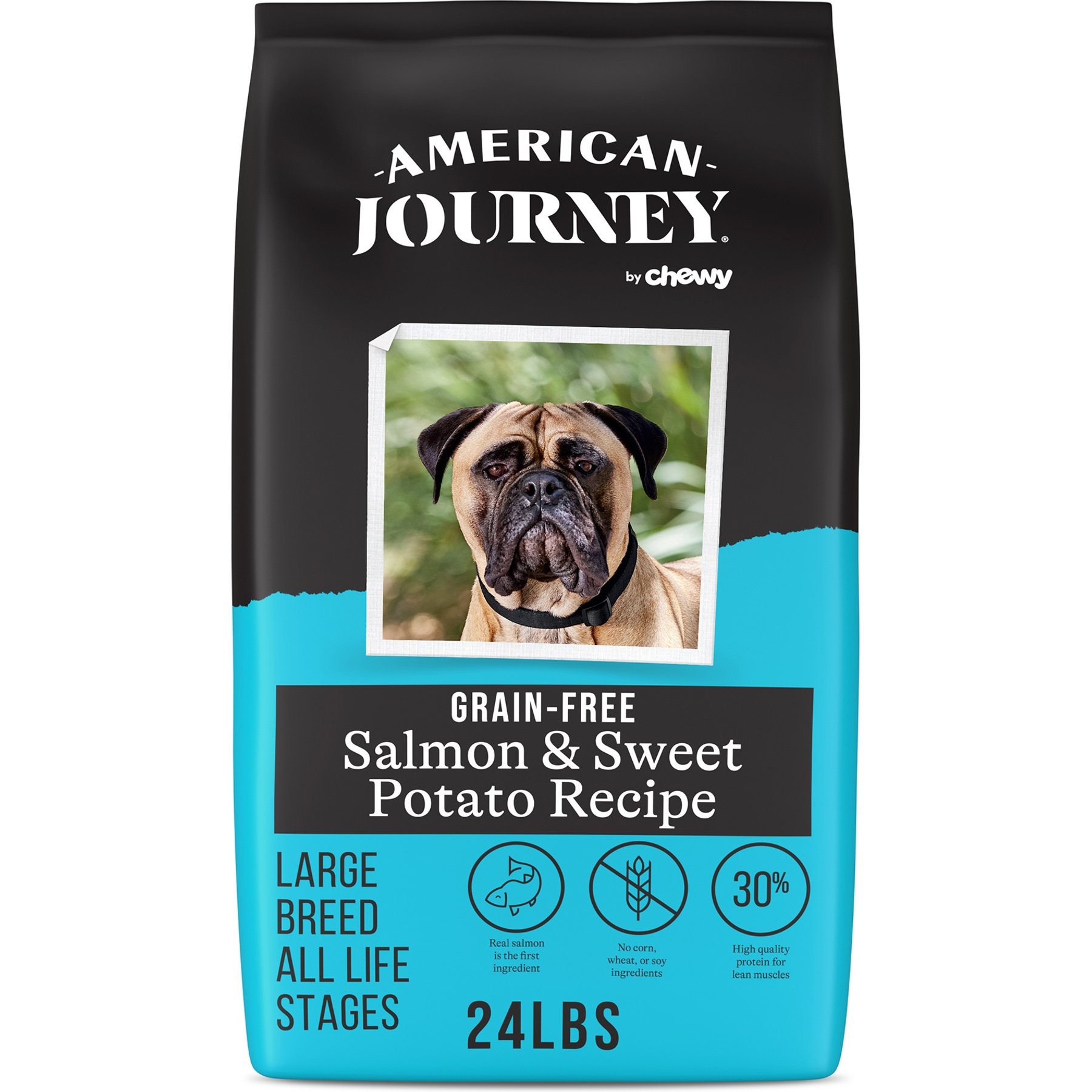 American Journey Grain-Free Large Breed Adult Salmon & Sweet Potato Recipe Dry Dog Food