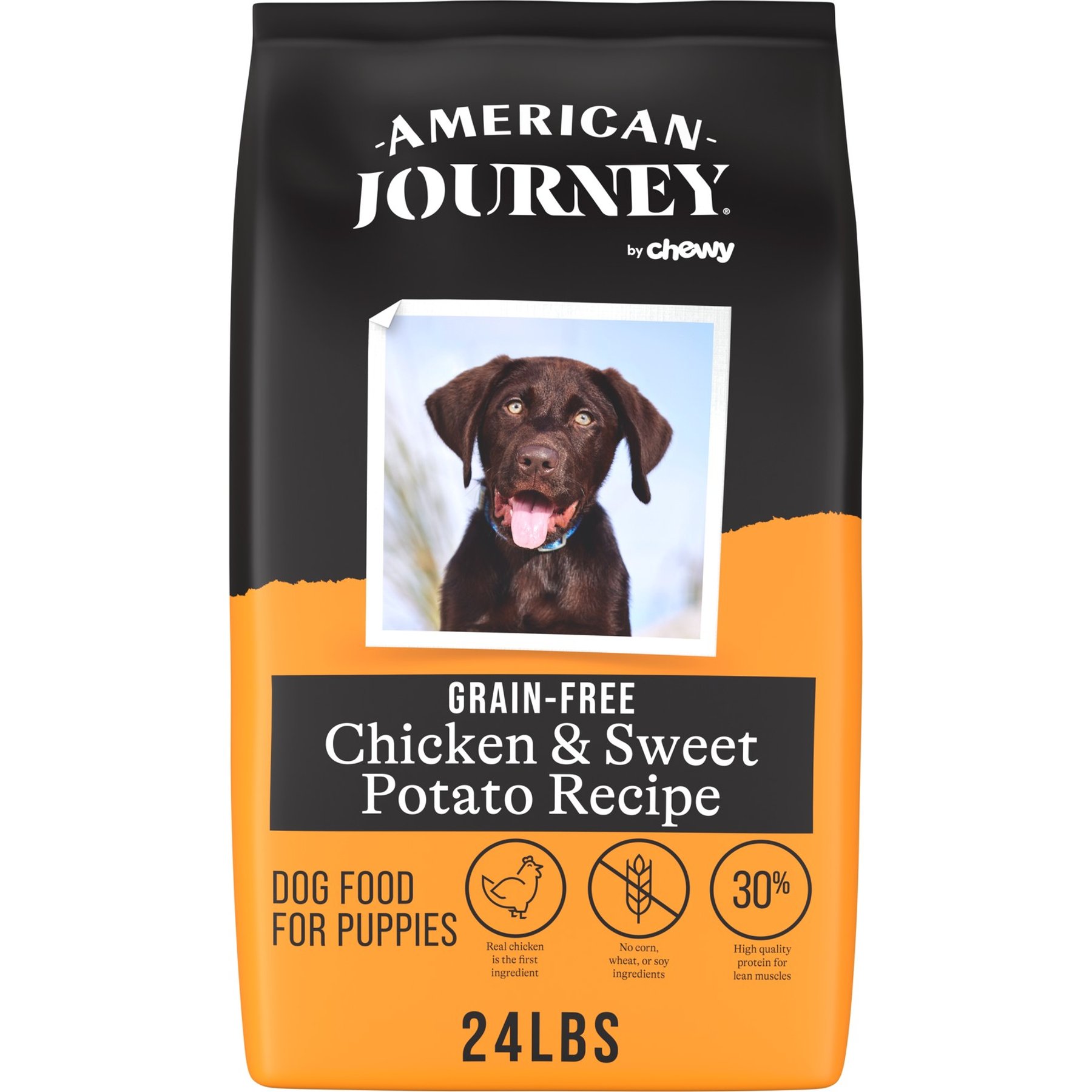 American Journey American Journey Grain-Free Puppy Chicken & Sweet Potato Recipe Dry Dog Food dog food package