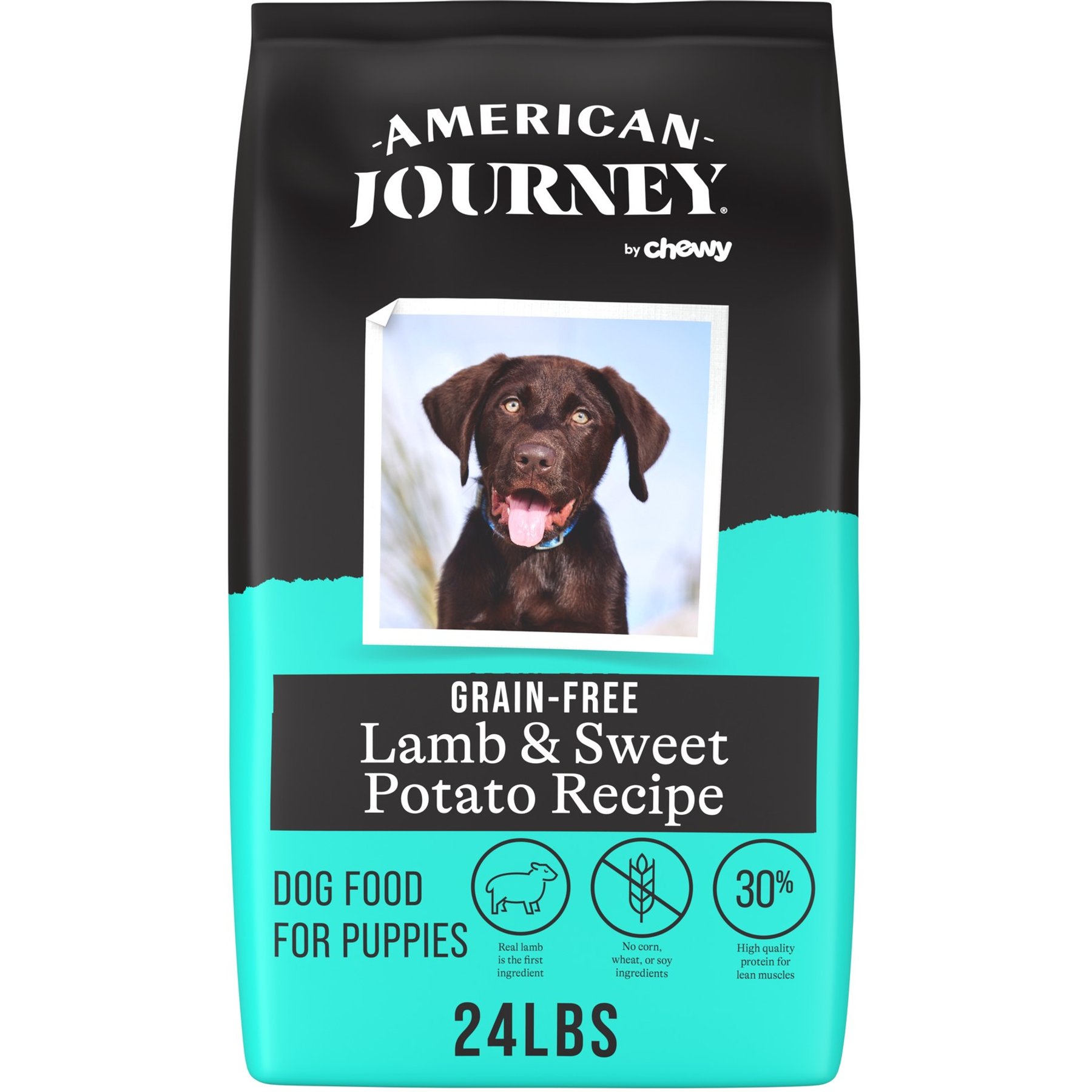 American Journey Grain-Free Puppy Lamb & Sweet Potato Recipe Dry Dog Food