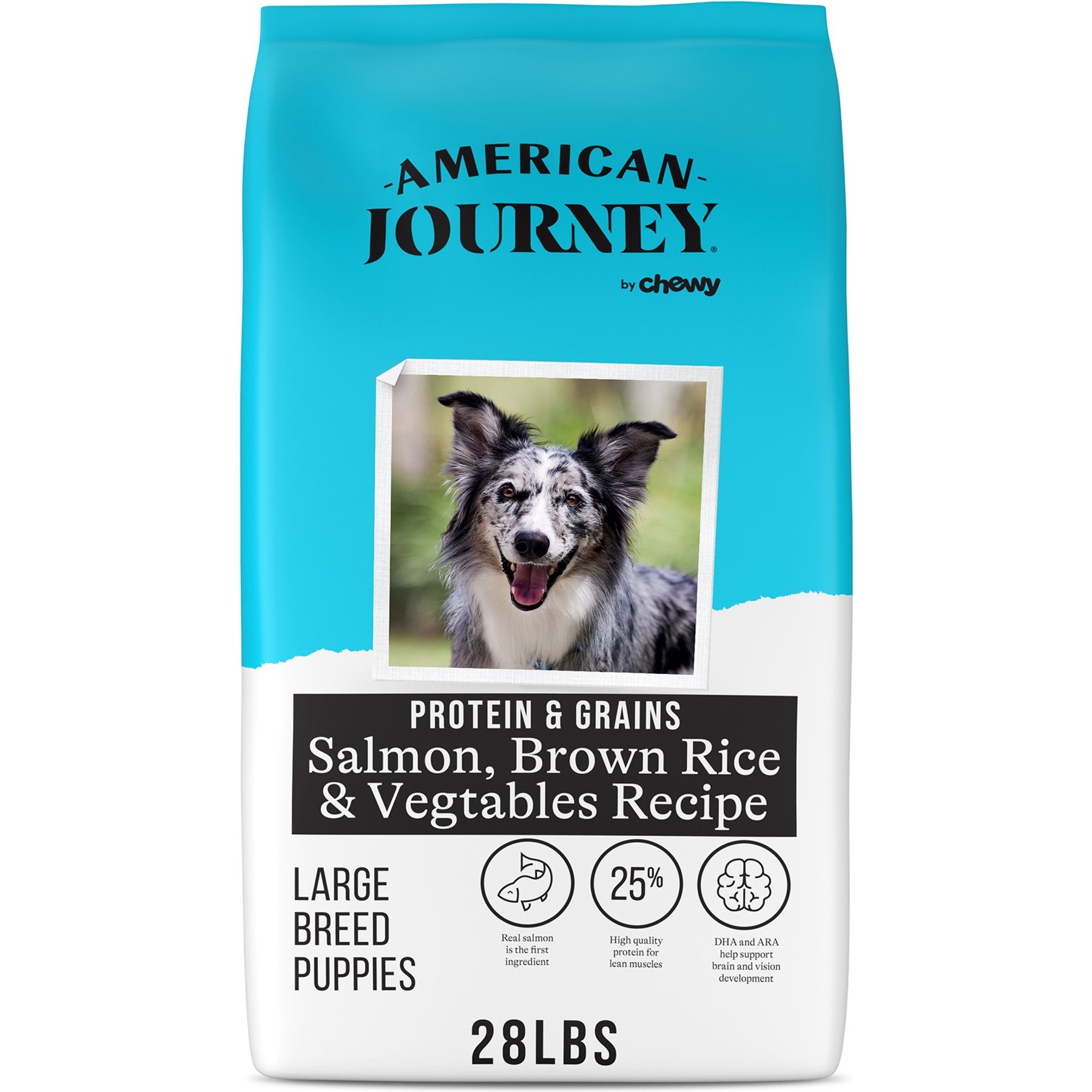 American Journey Protein & Grains Large Breed Puppy Salmon, Brown Rice & Vegetables Recipe Dry Dog Food