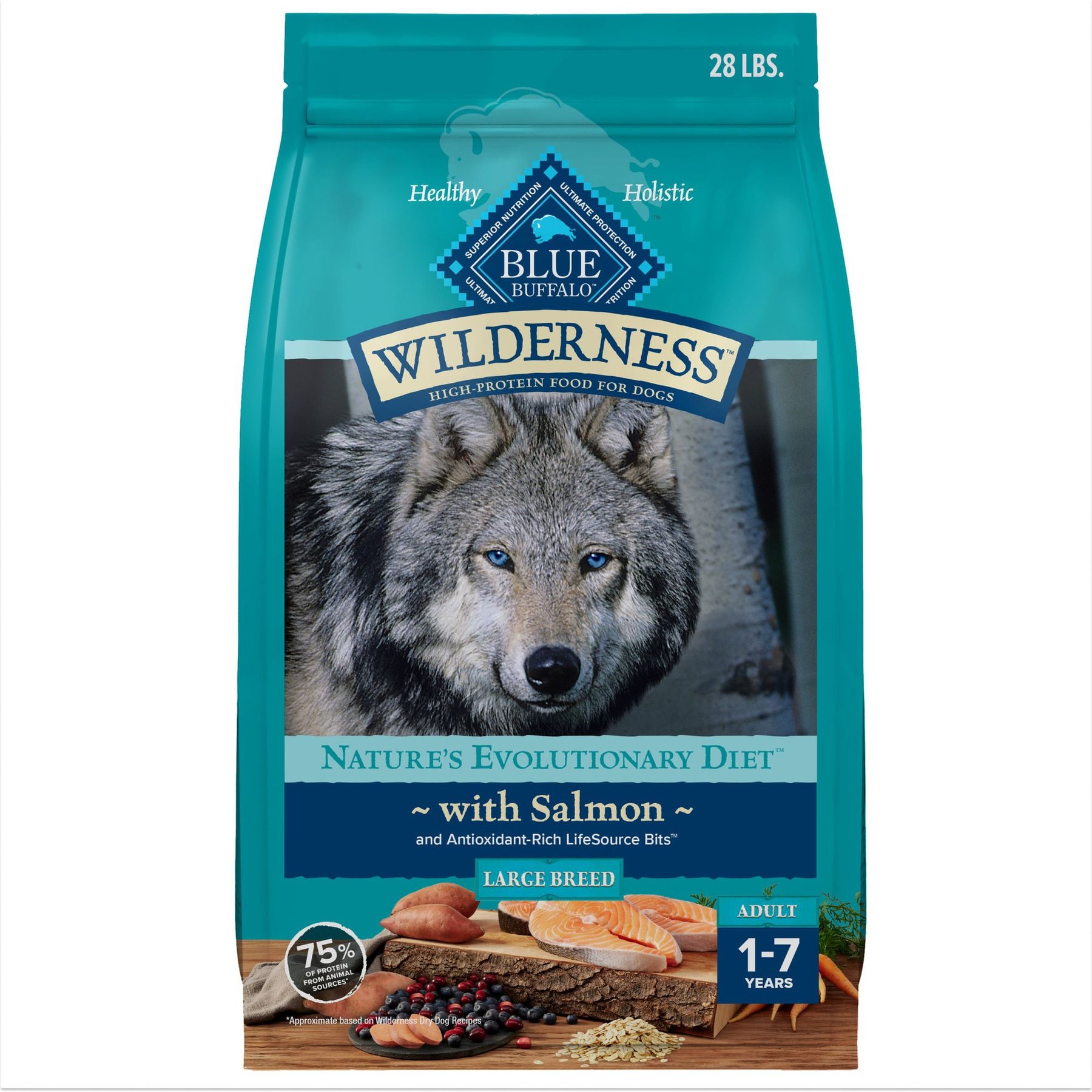 Blue Buffalo Wilderness Large Breed Adult High Protein Natural Salmon & Wholesome Grains Dry Dog Food