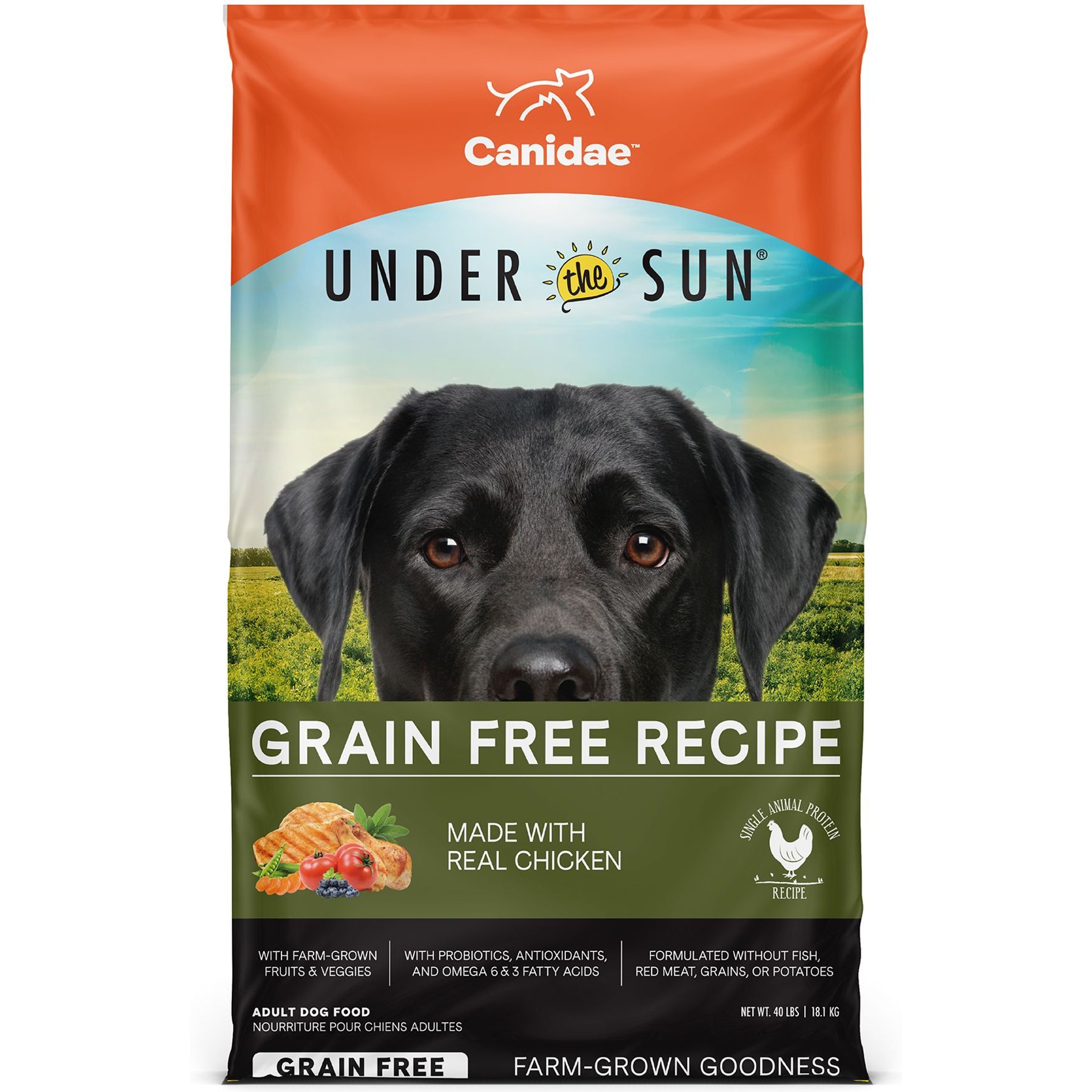 CANIDAE Under the Sun Grain-Free Chicken Recipe Adult Dry Dog Food