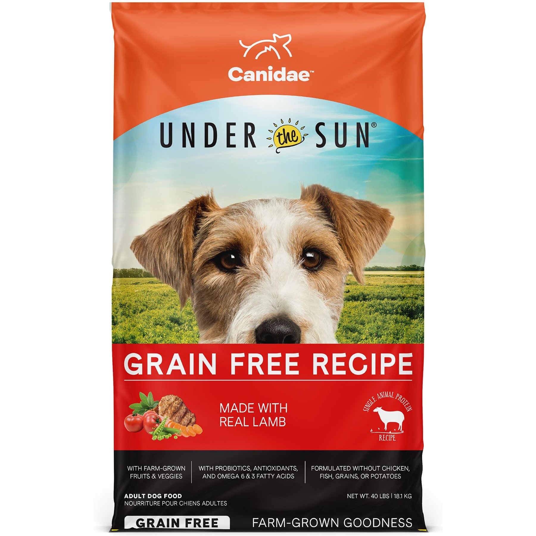 CANIDAE Under the Sun Grain-Free Lamb Recipe Adult Dry Dog Food
