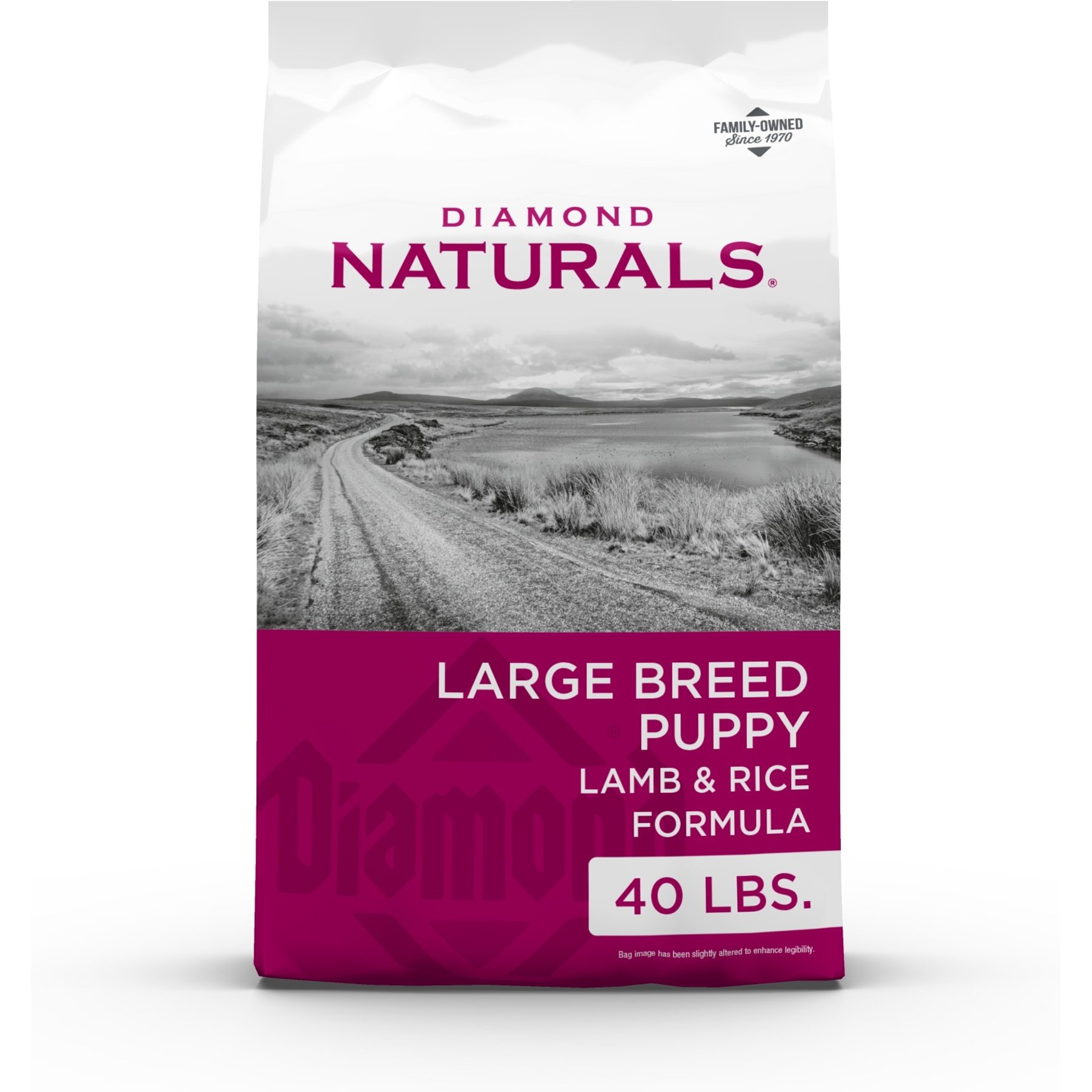 Diamond Naturals Large Breed Puppy Formula Dry Dog Food