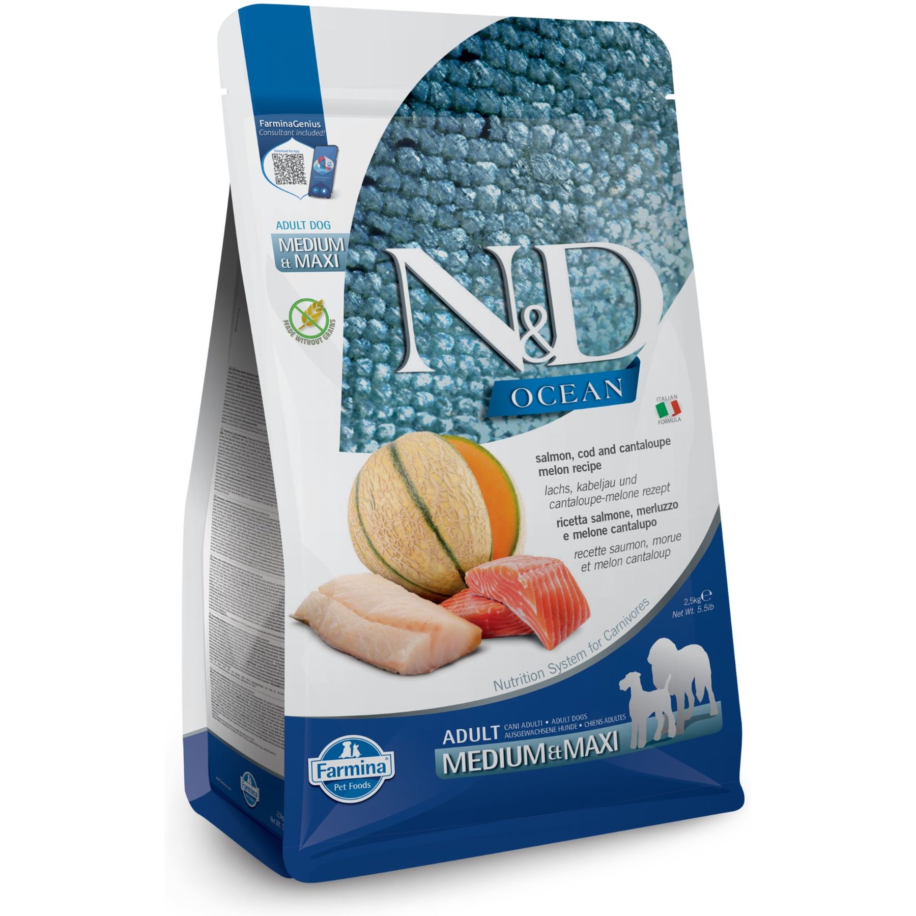 Farmina N&D Ocean Adult GMO-Free Salmon, Cod, Cantaloupe Medium & Maxi Dry Dog Food