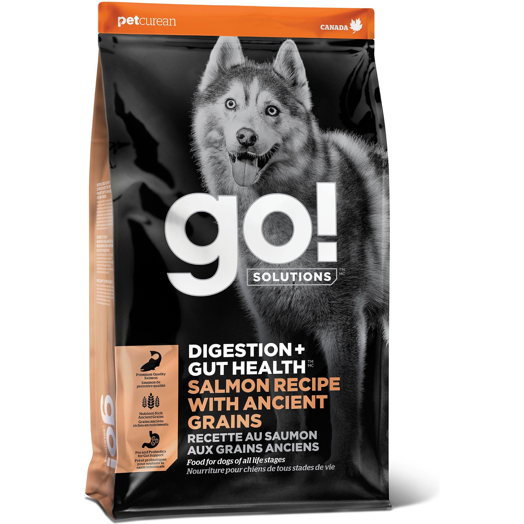 Go! Solutions Digestion + Gut Health Salmon Recipe with Ancient Grains for Dogs