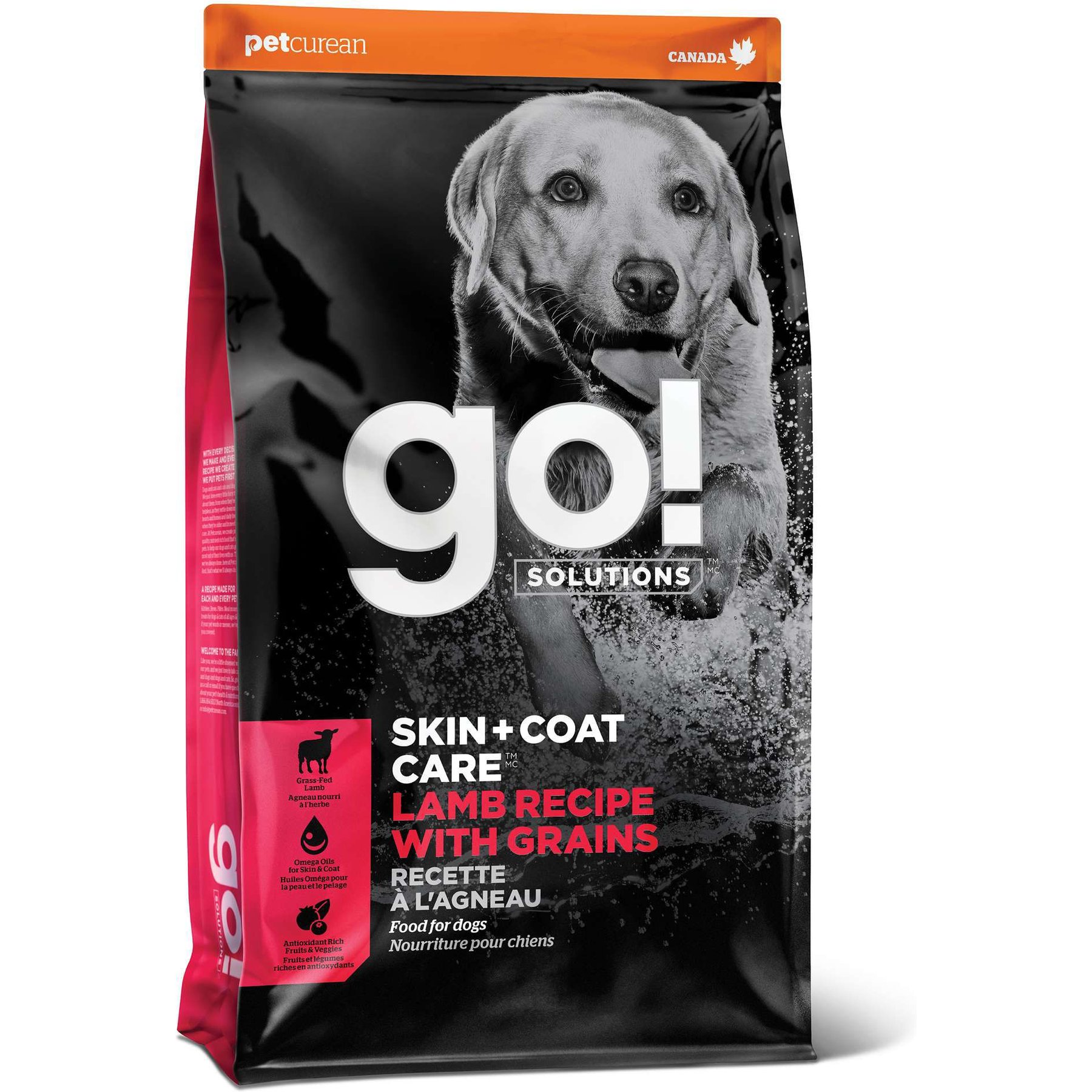 Go! Solutions Skin + Coat Care Lamb Recipe Dry Dog Food