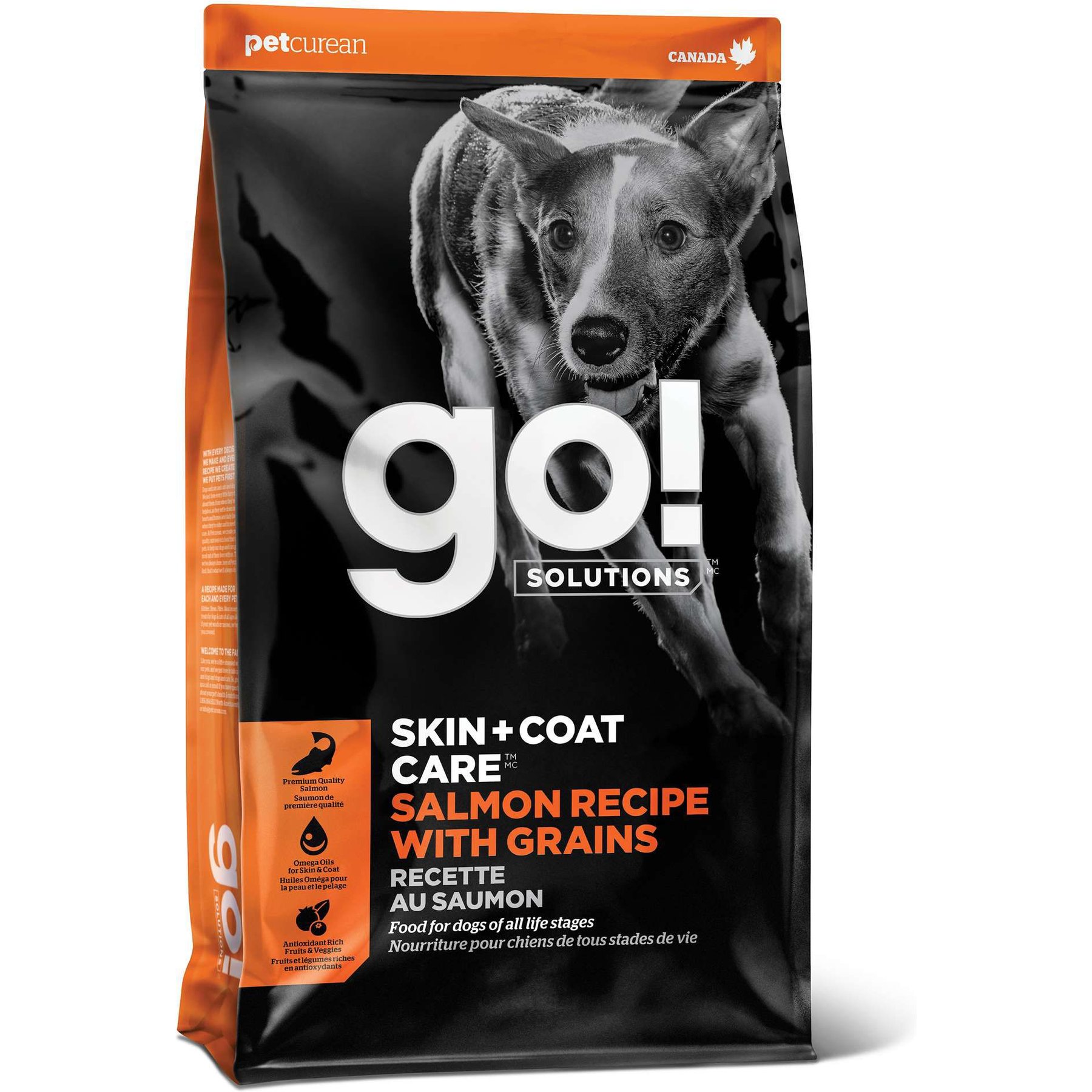 Go! Solutions Skin + Coat Care Salmon Recipe Dry Dog Food