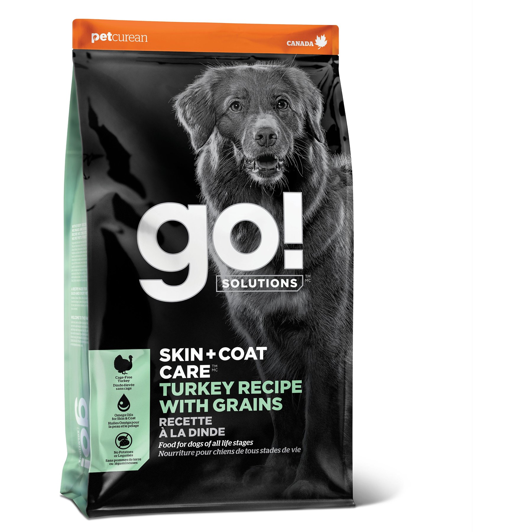 Go! Solutions Skin + Coat Care Turkey Recipe Dry Dog Food