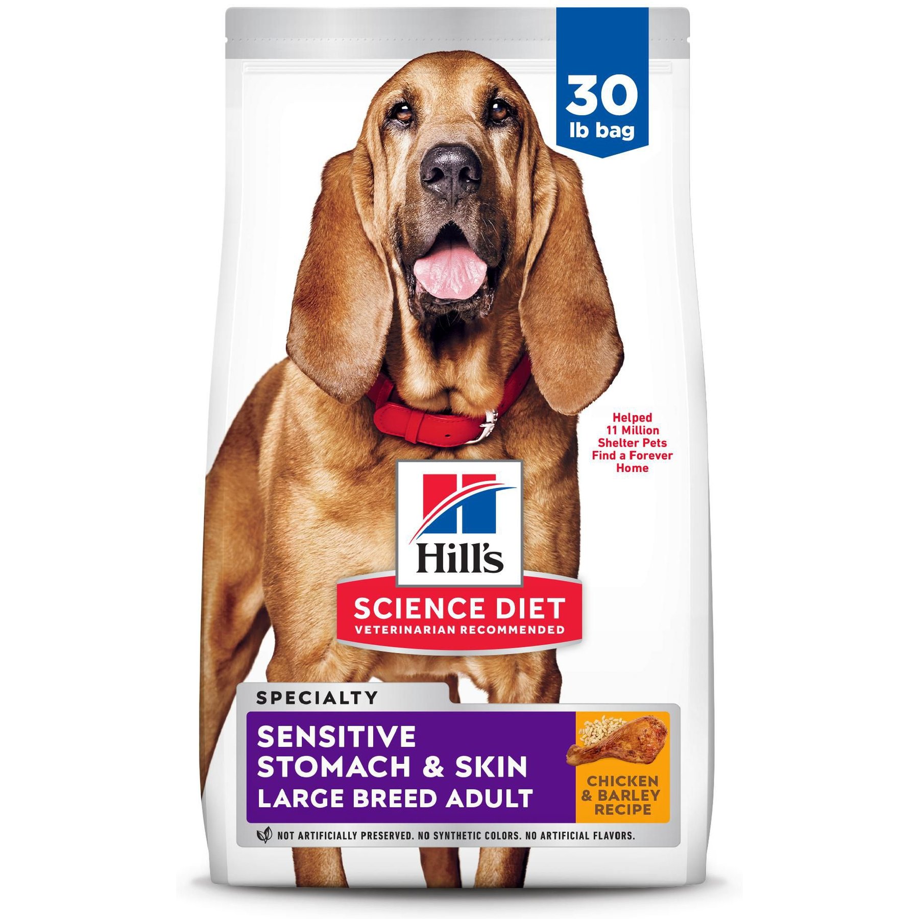 Hill's Science Diet Adult Sensitive Stomach & Sensitive Skin Large Breed Chicken & Barley Recipe Dry Dog Food