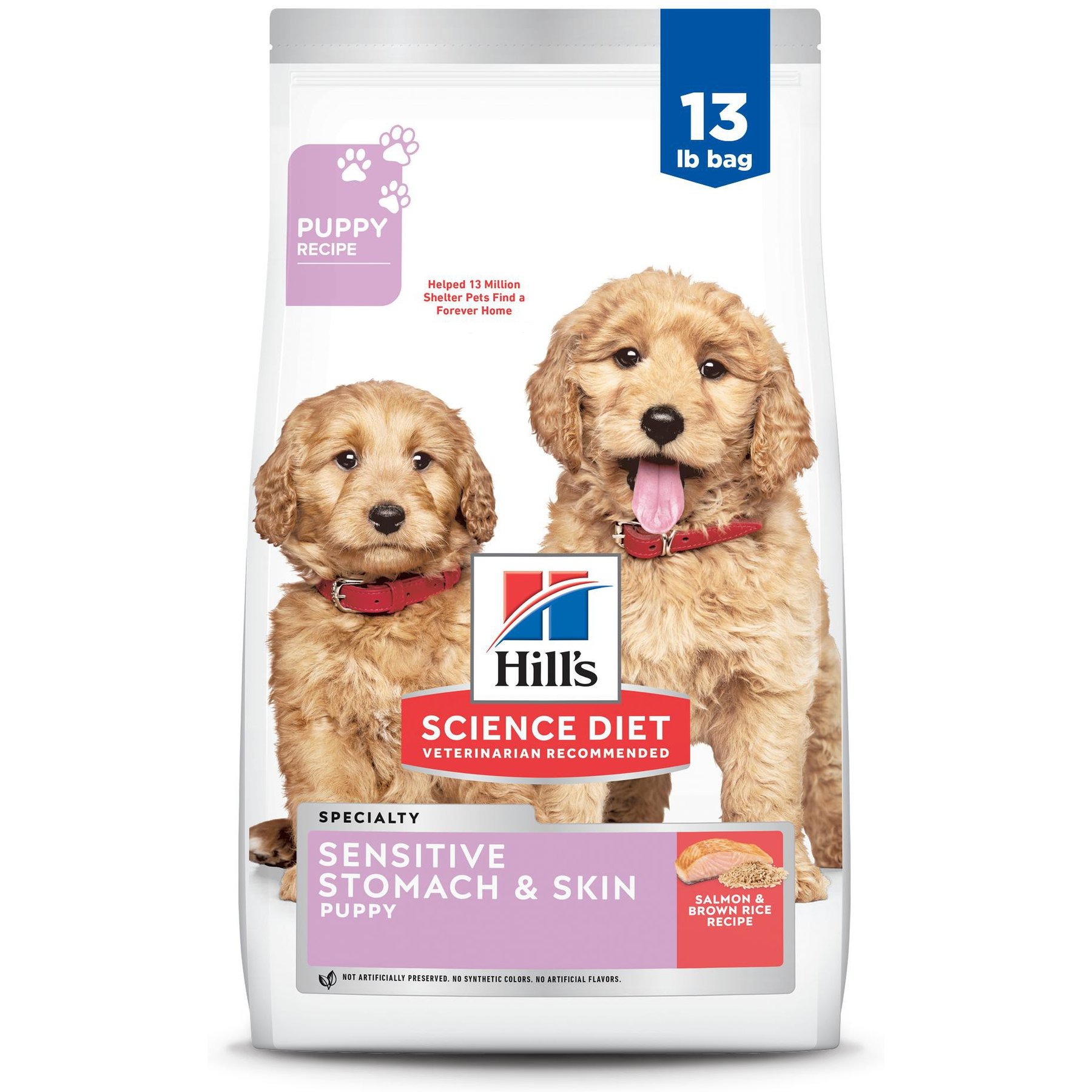 Hill's Science Diet Puppy Sensitive Stomach & Sensitive Skin Salmon & Brown Rice Recipe Dry Dog Food