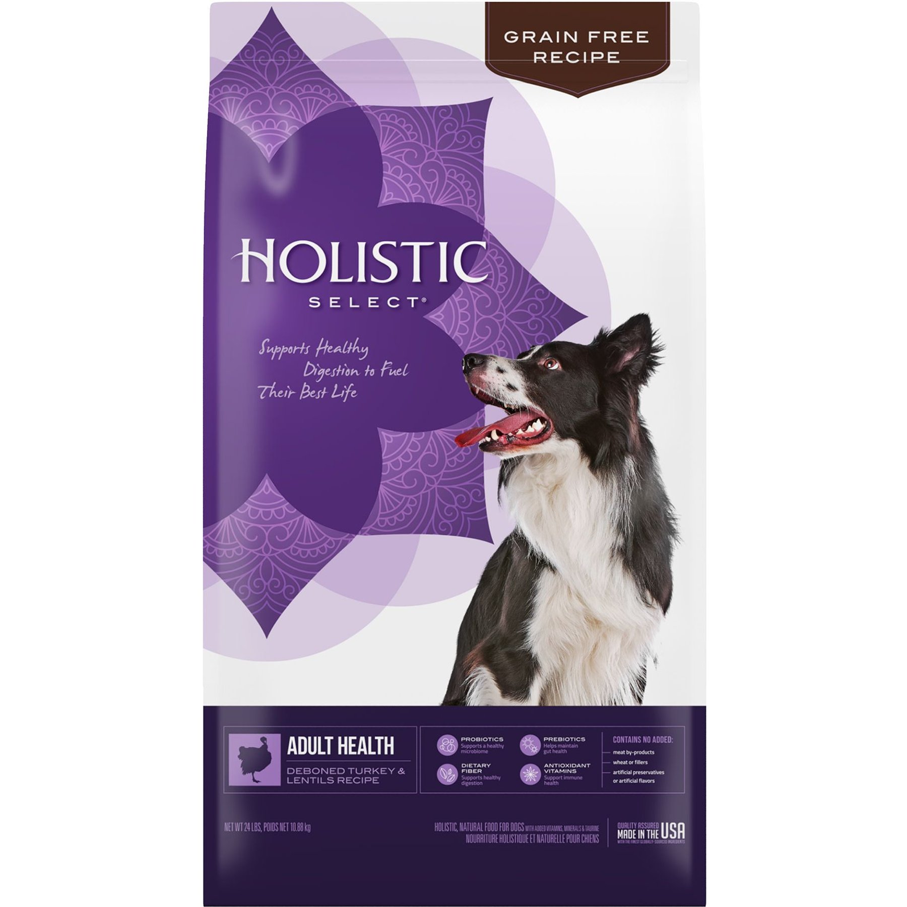 Holistic Select Adult Health Grain-Free Deboned Turkey & Lentils Recipe Dry Dog Food