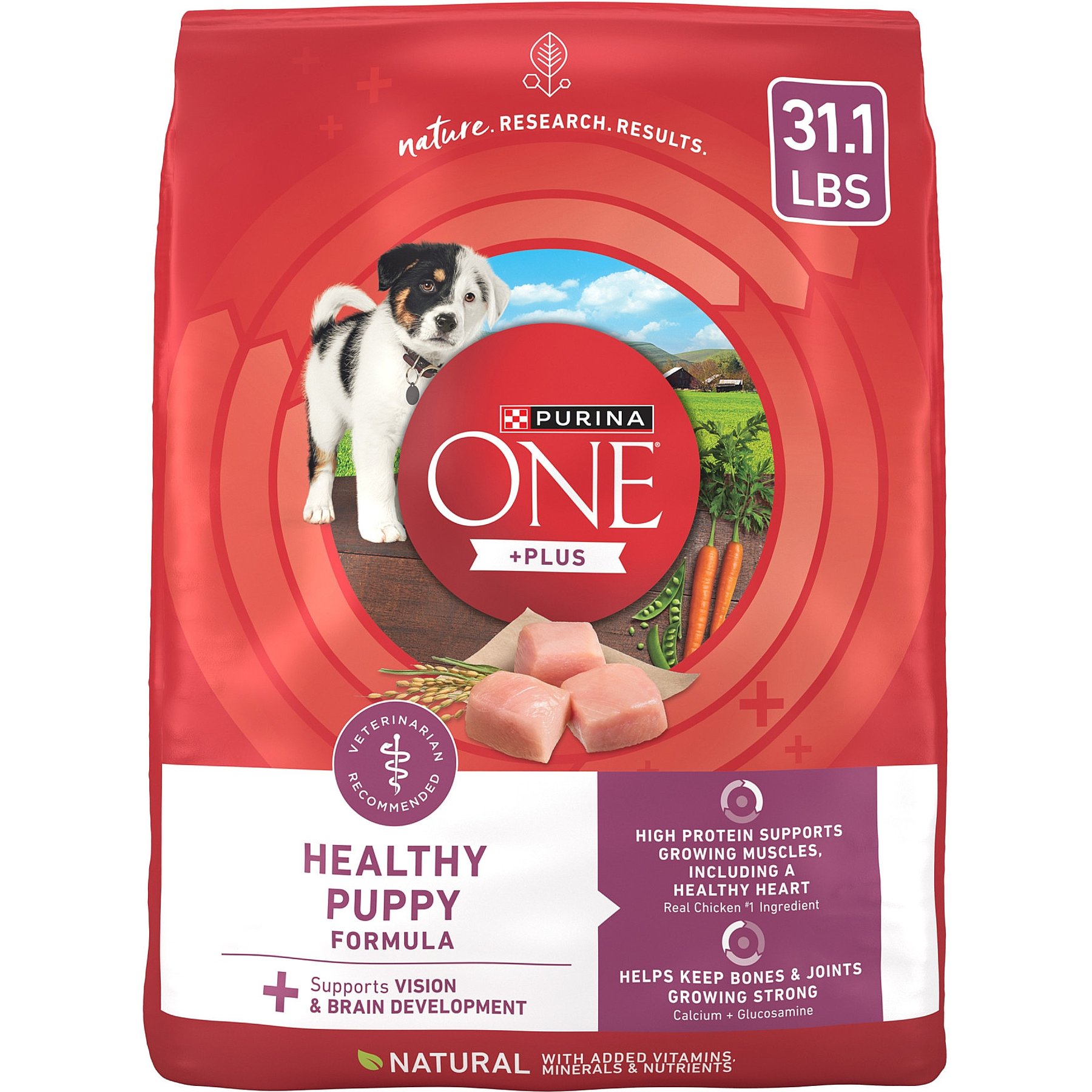 Purina ONE +Plus High Protein Healthy Puppy Formula Dry Puppy Food