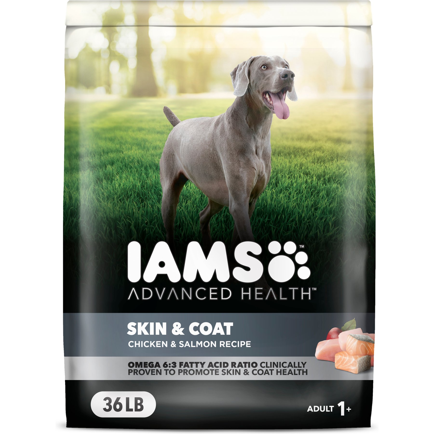 Iams Advanced Health Skin & Coat Chicken & Salmon Recipe Adult Dry Dog Food