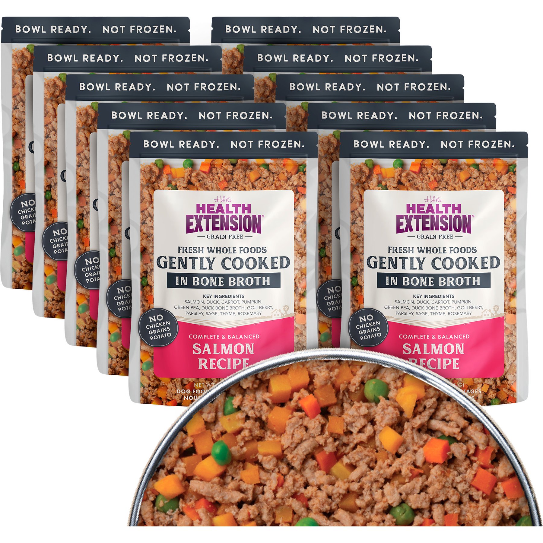 Health Extension Gently Cooked Grain-Free Salmon Recipe Wet Dog Food