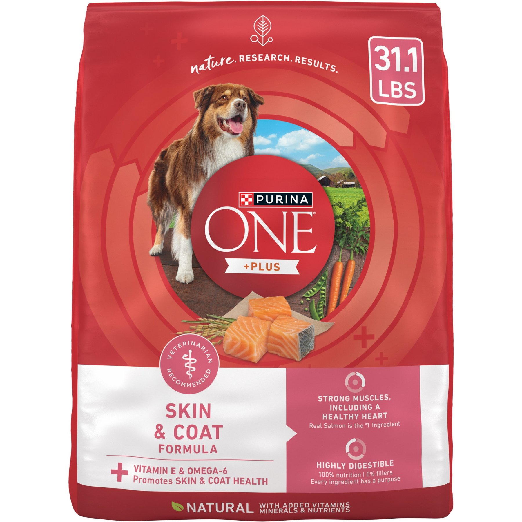 Purina ONE +Plus Adult Skin & Coat Formula Dry Dog Food
