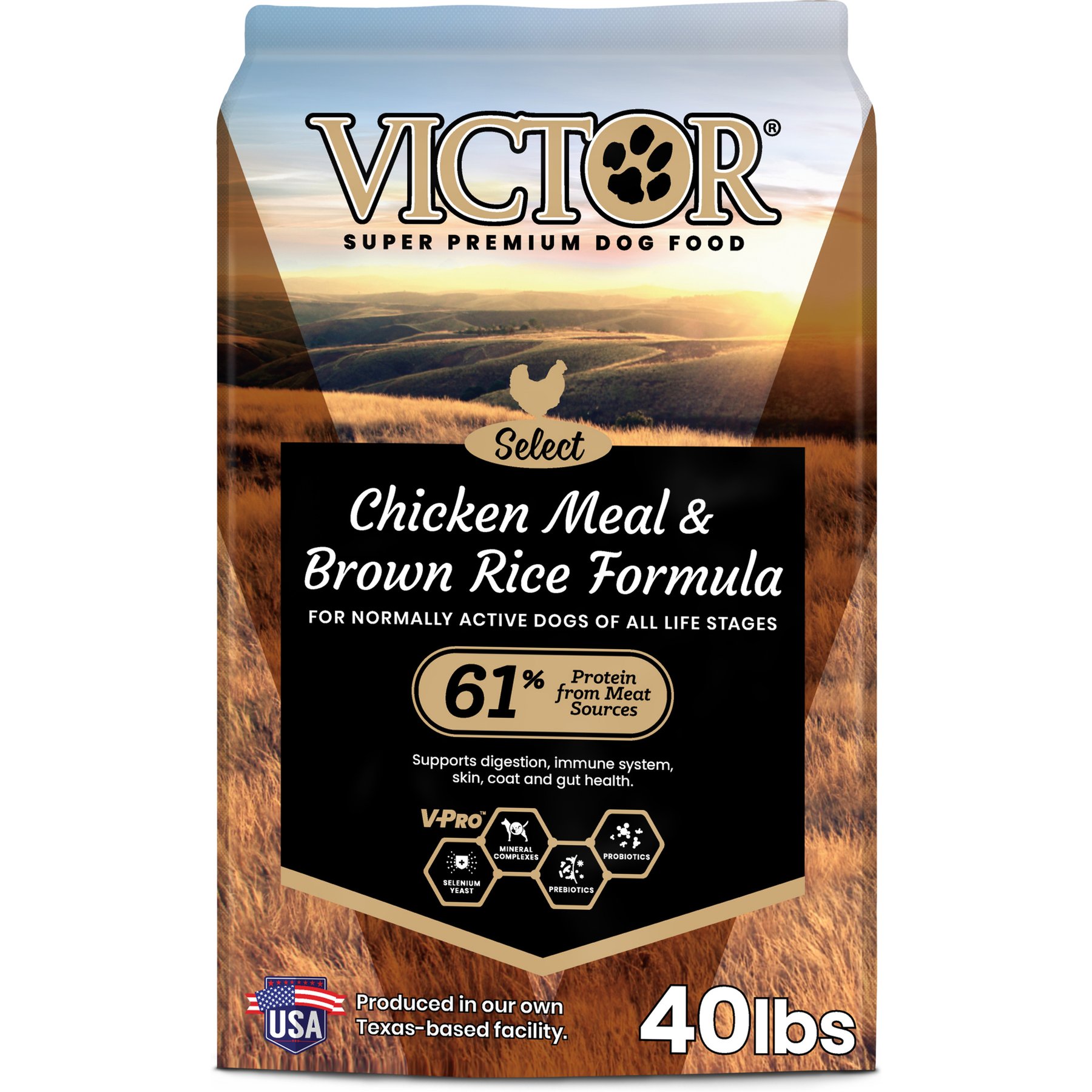 VICTOR Gluten-Free Chicken Meal & Brown Rice Formula Dry Dog Food