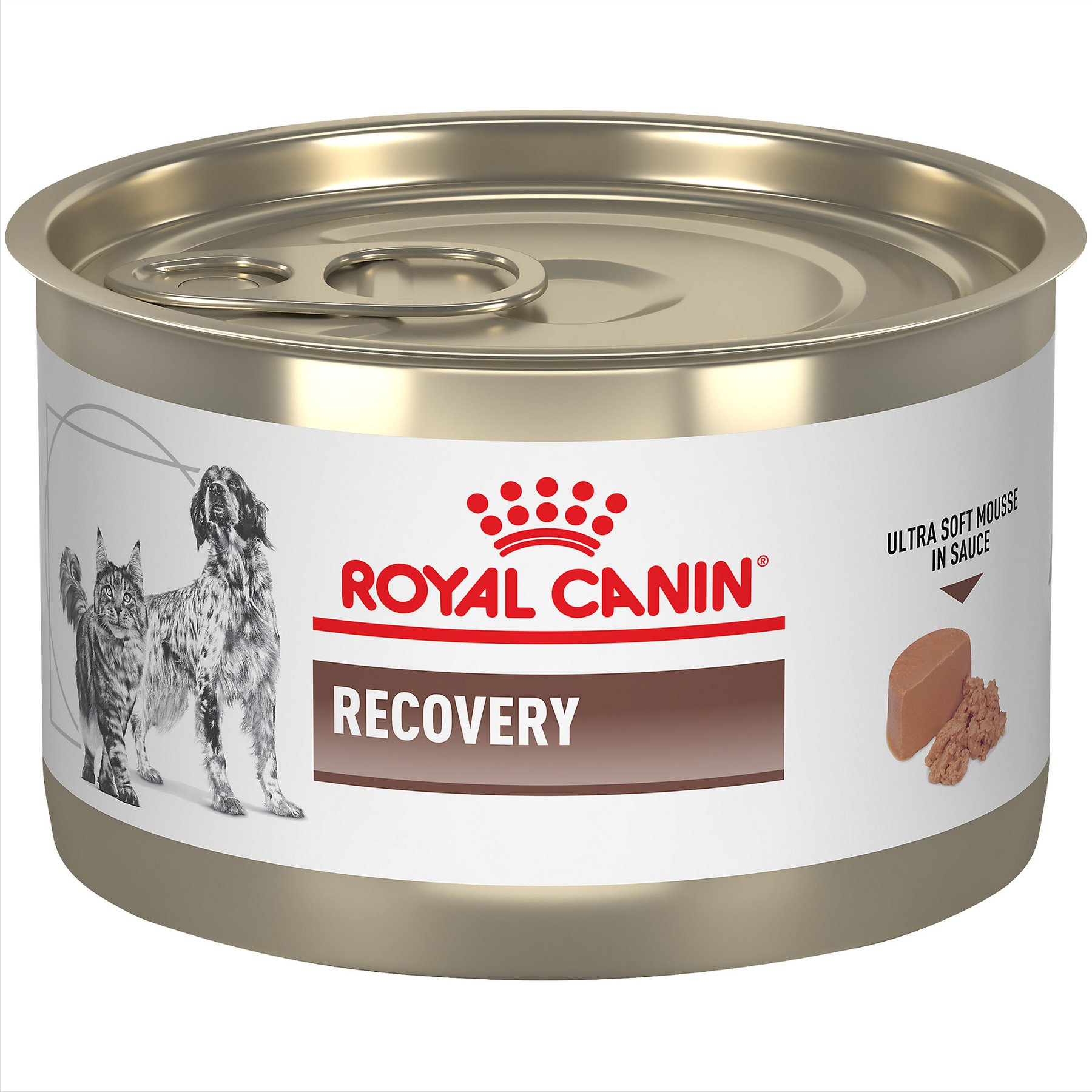 Royal Canin Veterinary Diet Recovery Ultra Soft Mousse in Sauce Wet Dog & Cat Food