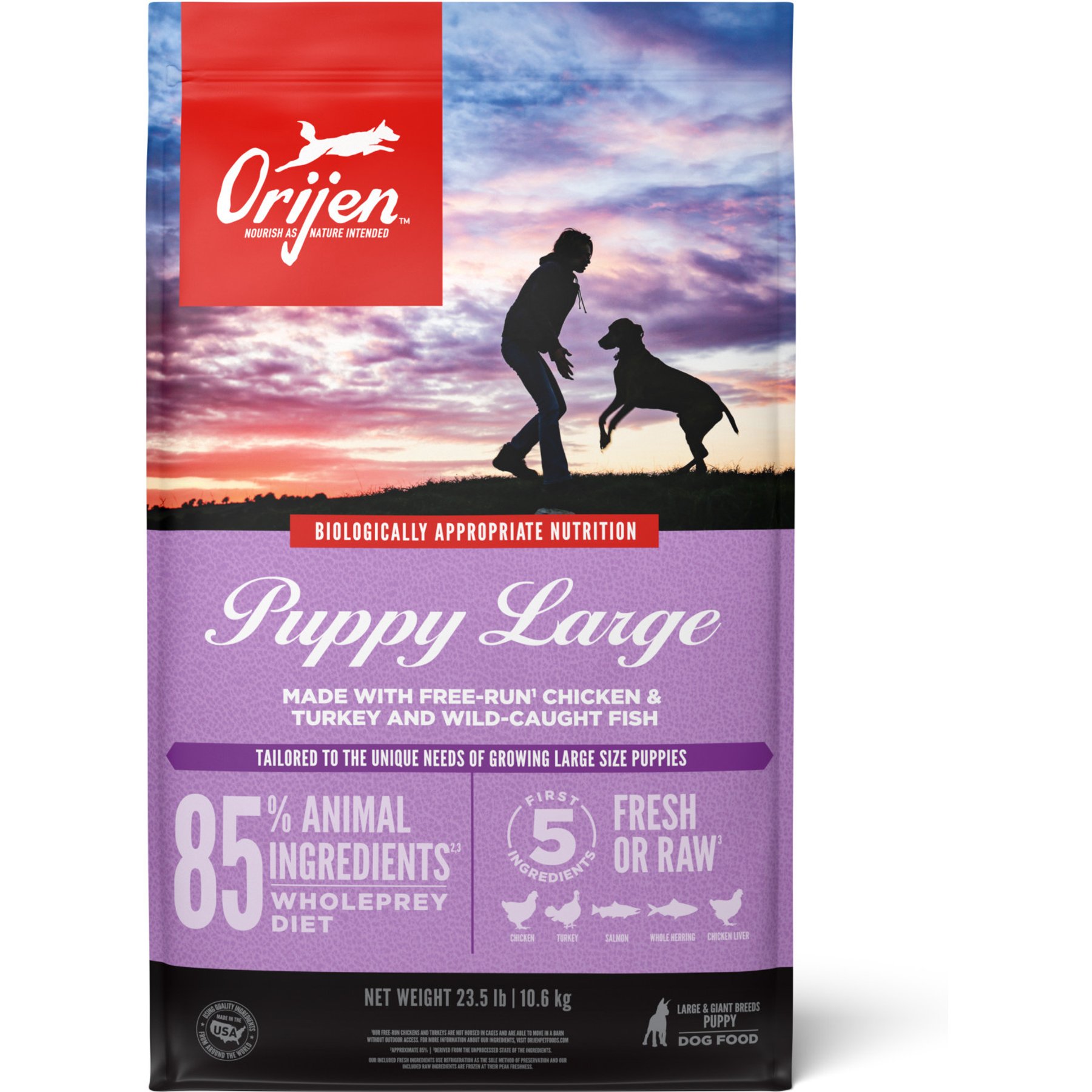 ORIJEN Puppy Large Grain-Free High-Protein Dry Dog Food