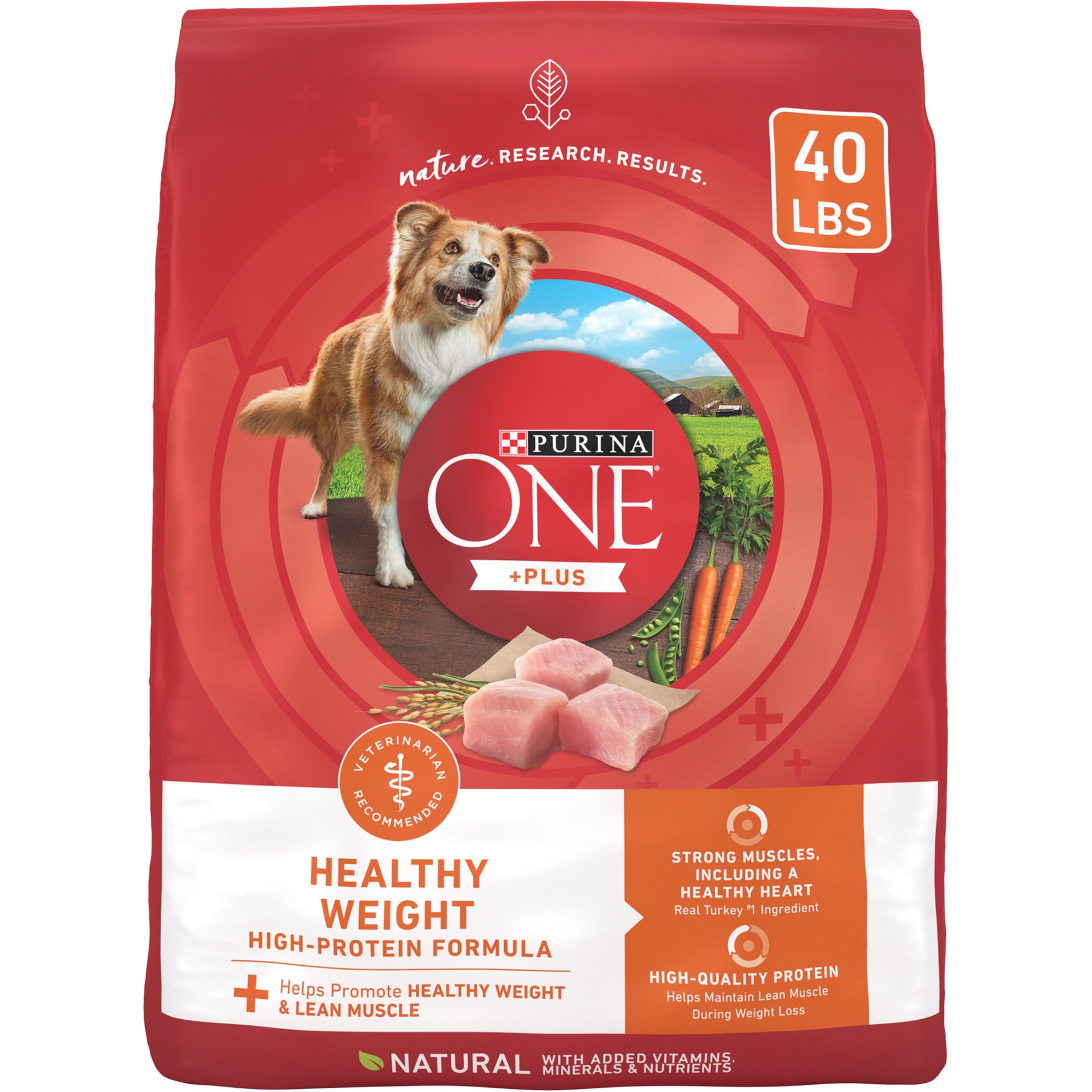 Purina ONE +Plus Adult High-Protein Healthy Weight Formula Turkey Formula Dry Dog Food