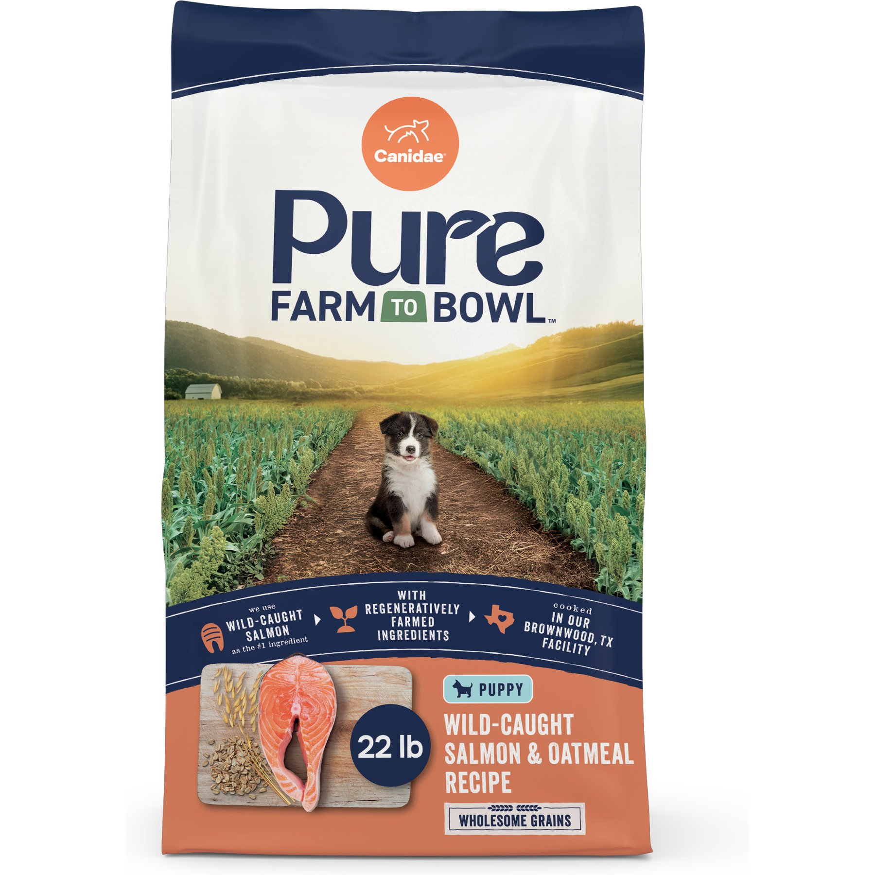 CANIDAE PURE with Wholesome Grains Limited Ingredient Real Salmon & Oatmeal Recipe Puppy Dry Dog Food