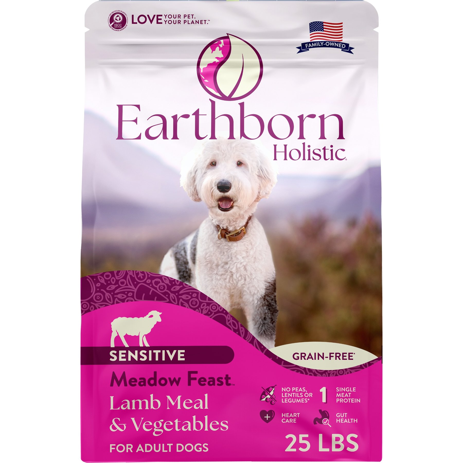 Earthborn Holistic Meadow Feast Lamb Meal & Vegetables Grain-Free Dry Dog Food