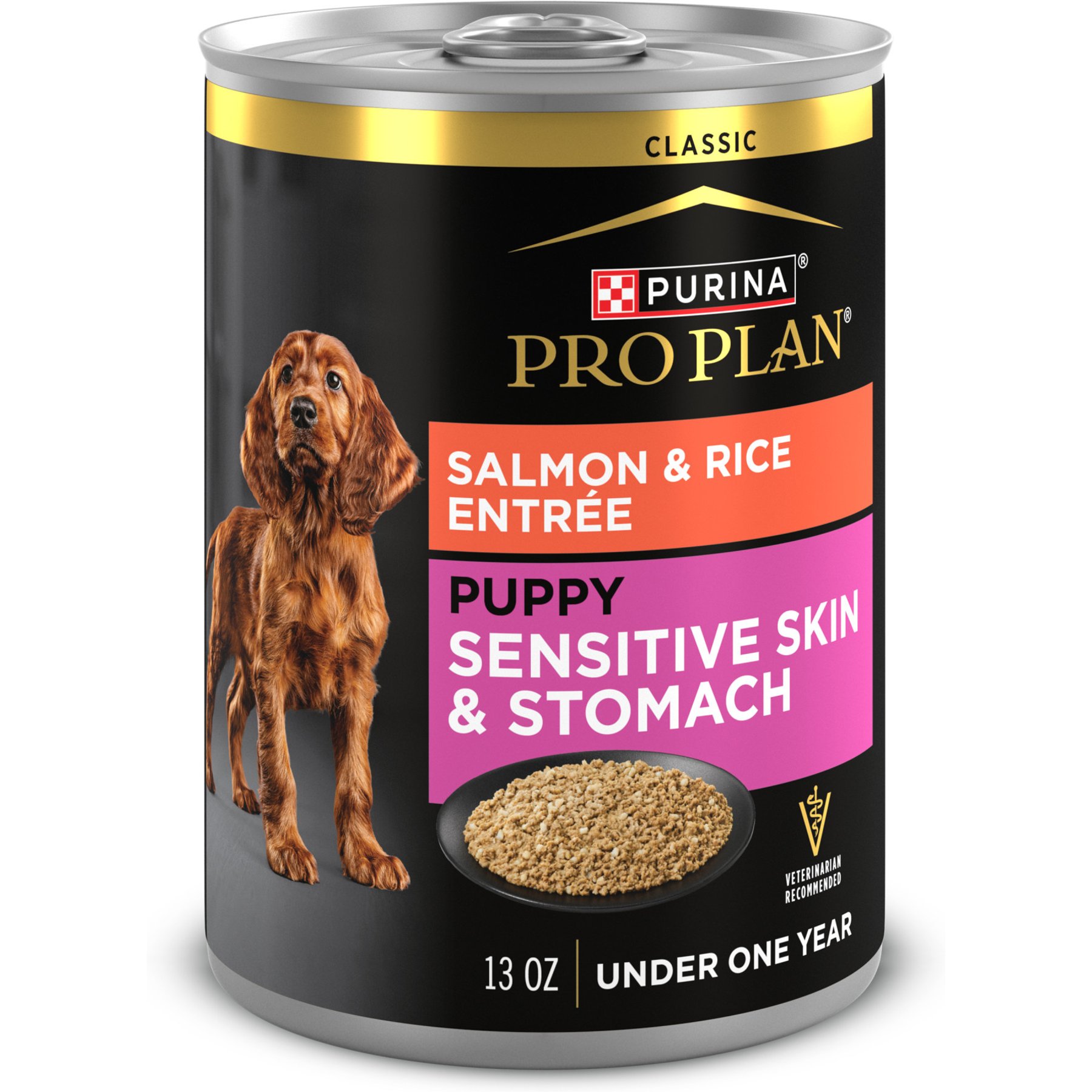 Purina Pro Plan Sensitive Stomach & Skin Puppy Salmon & Rice Entrée Classic Wet Dog Food