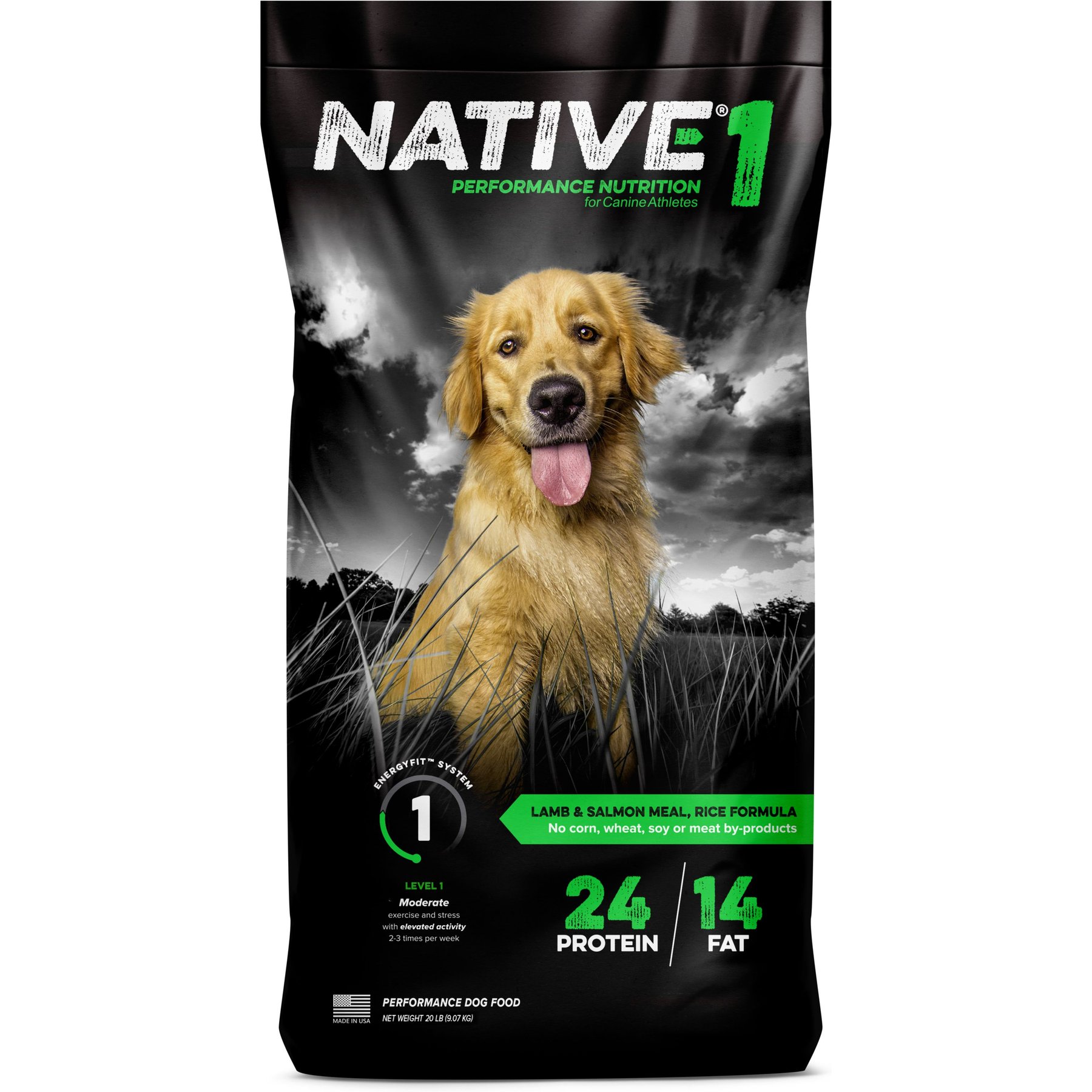 Native Level 1 Lamb Flavor Dry Dog Food