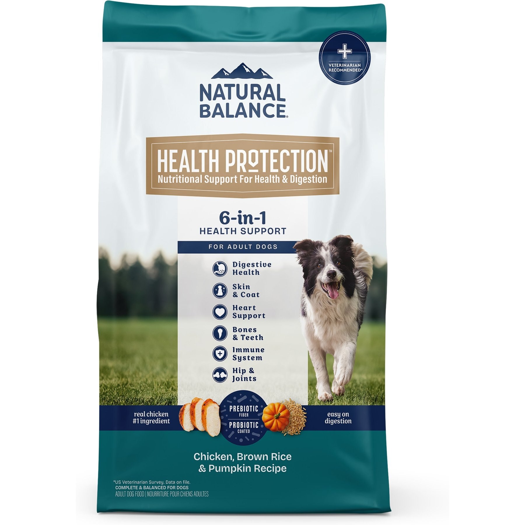 Natural Balance Health Protection Adult Real Chicken, Brown Rice & Pumpkin Dry Dog Food