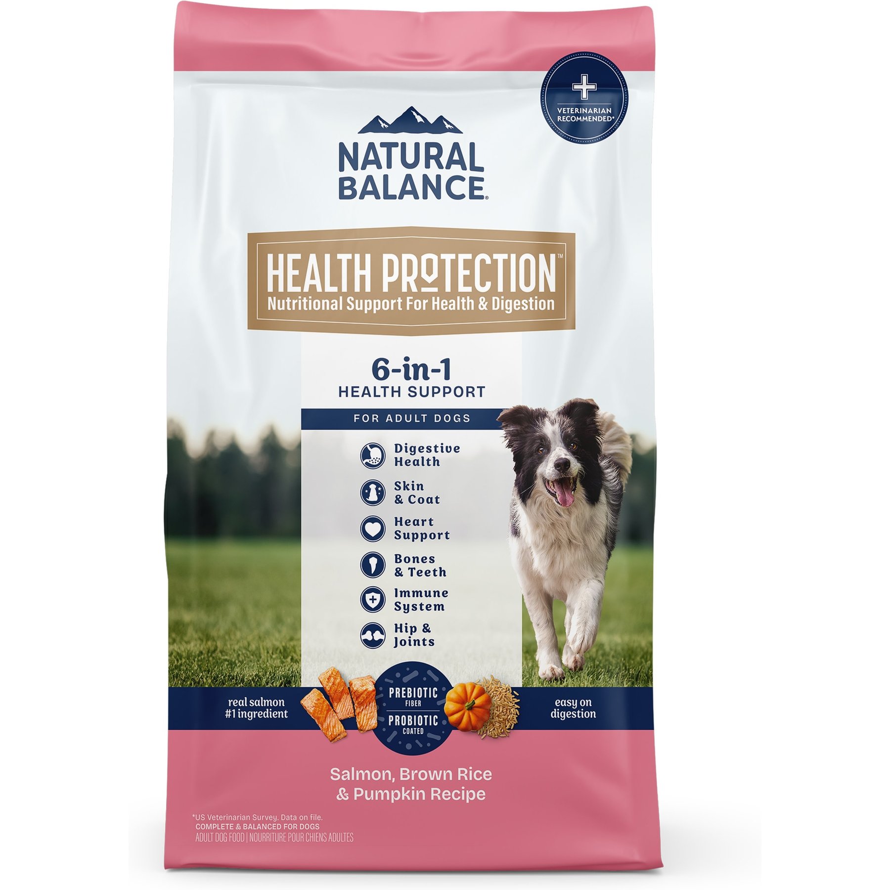 Natural Balance Health Protection Adult Real Salmon, Brown Rice & Pumpkin Dry Dog Food