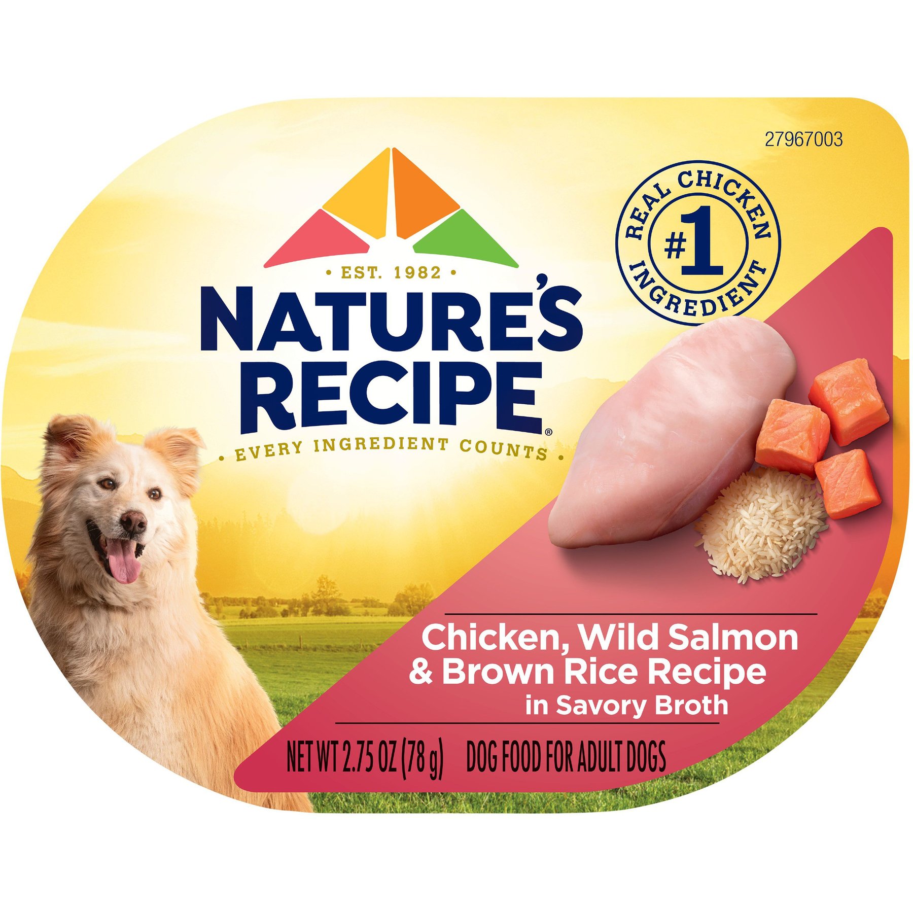 Nature's Recipe Chicken & Wild Salmon Recipe in Broth Wet Dog Food