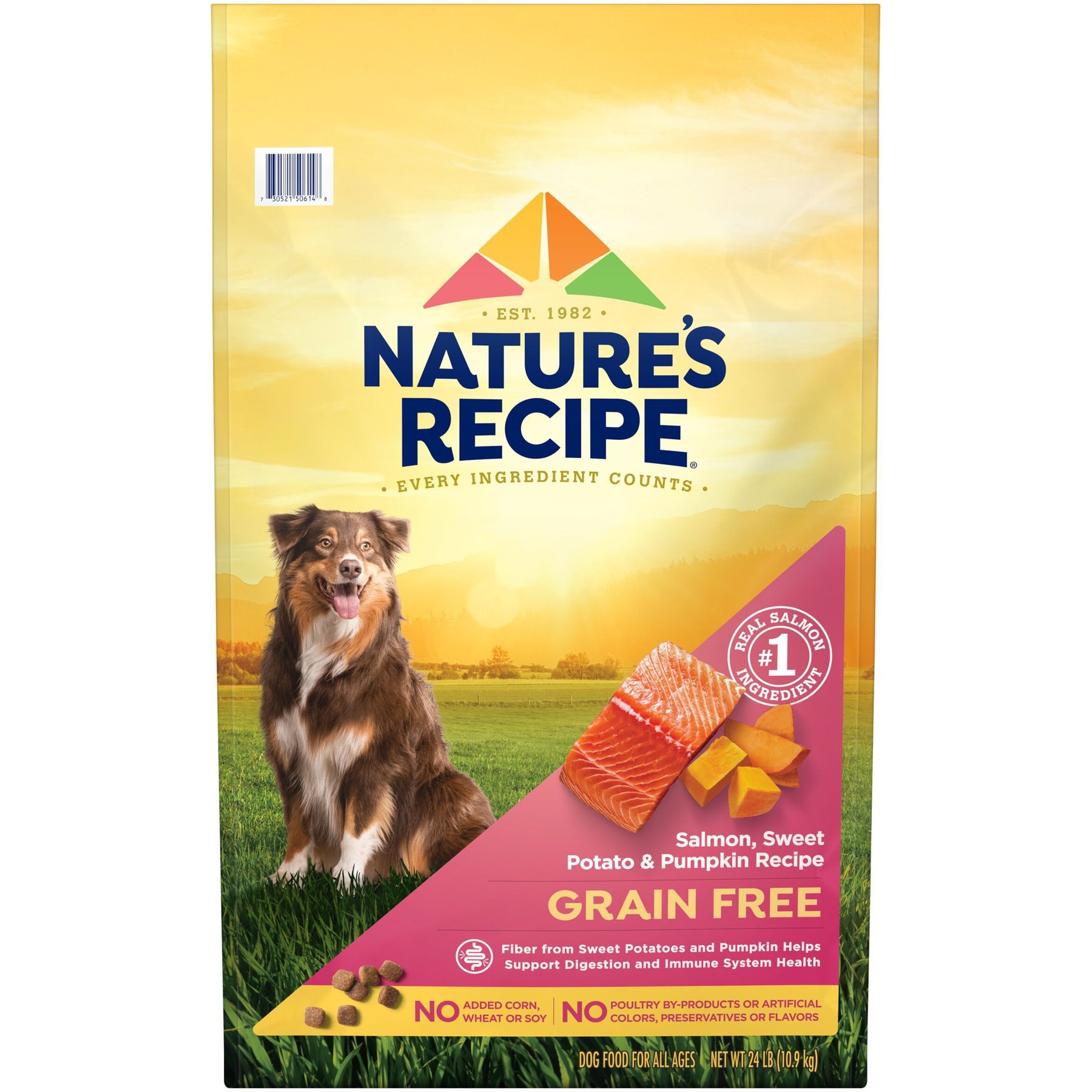 Nature's Recipe Grain-Free Salmon, Sweet Potato & Pumpkin Recipe Dry Dog Food