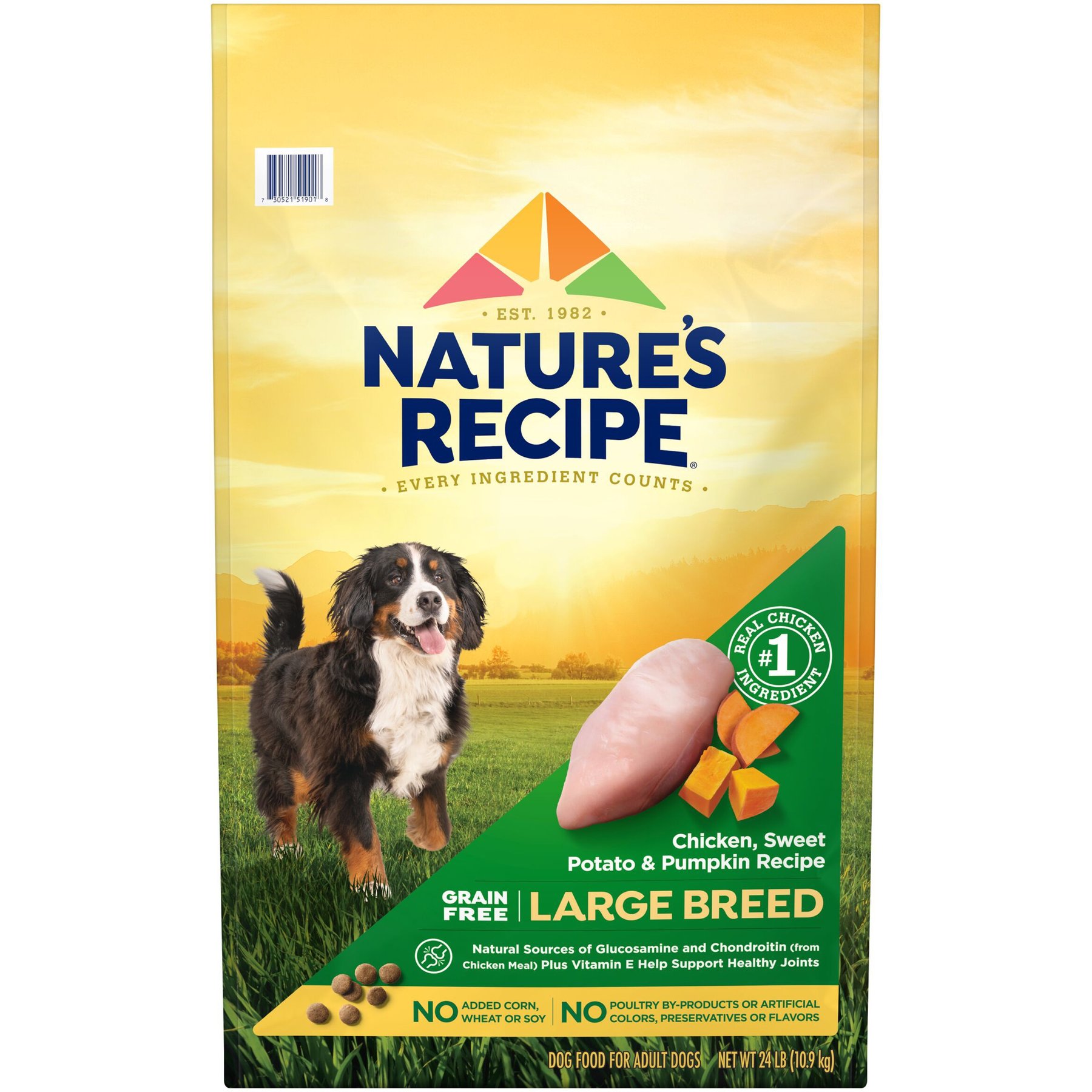 Nature's Recipe Nature's Recipe Large Breed Grain-Free Chicken, Sweet Potato & Pumpkin Recipe Dry Dog Food dog food package