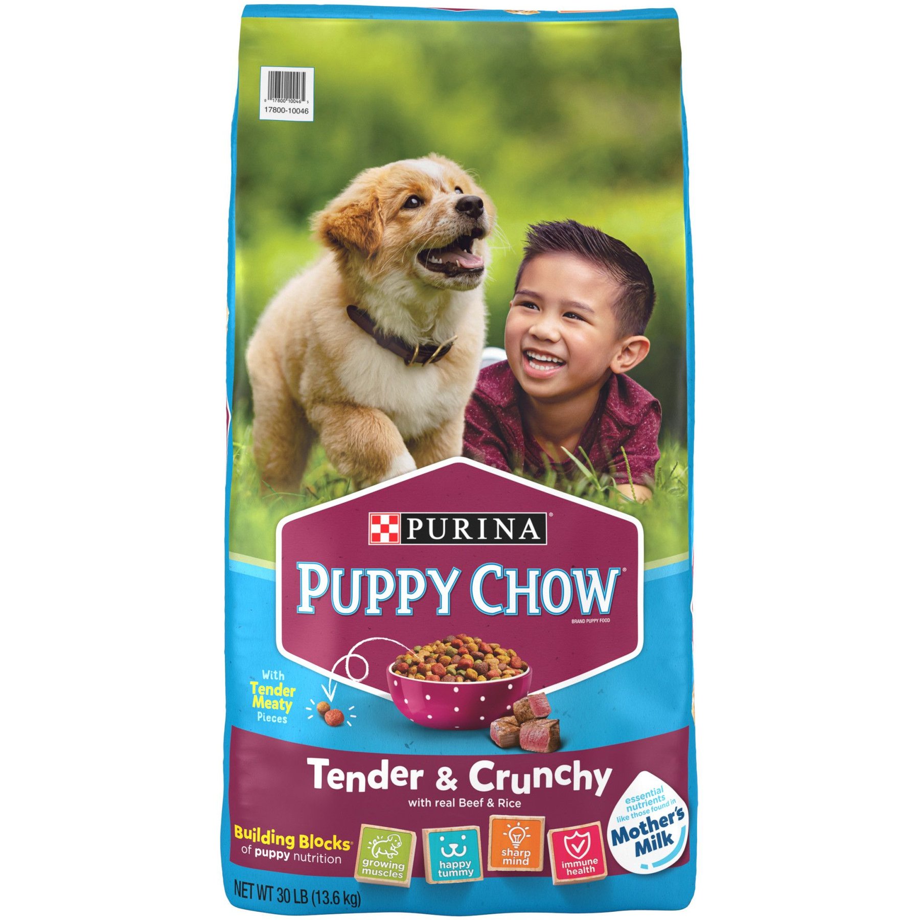Puppy Chow Tender & Crunchy with Real Beef Dry Dog Food