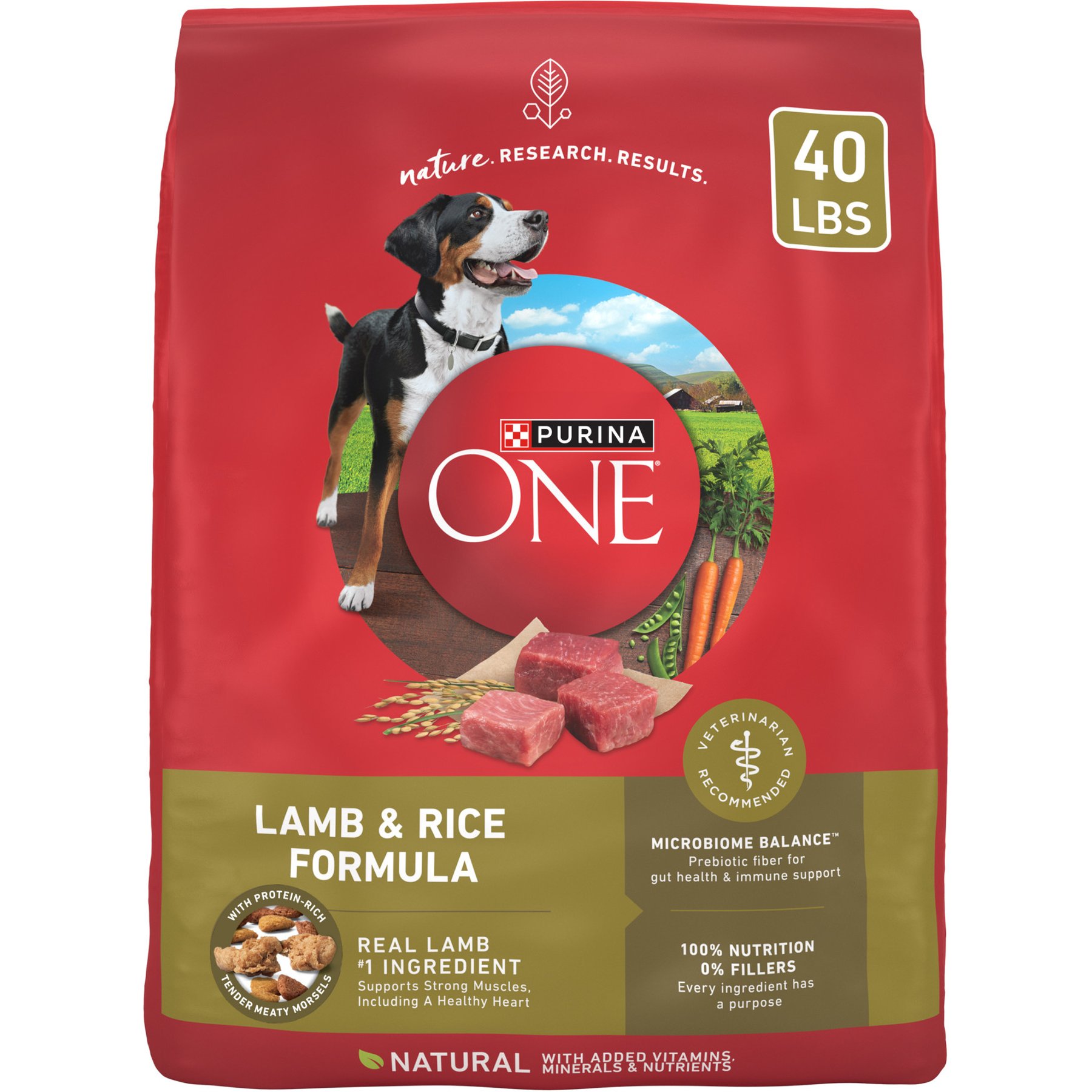 Purina ONE Natural SmartBlend Lamb & Rice Formula Dry Dog Food