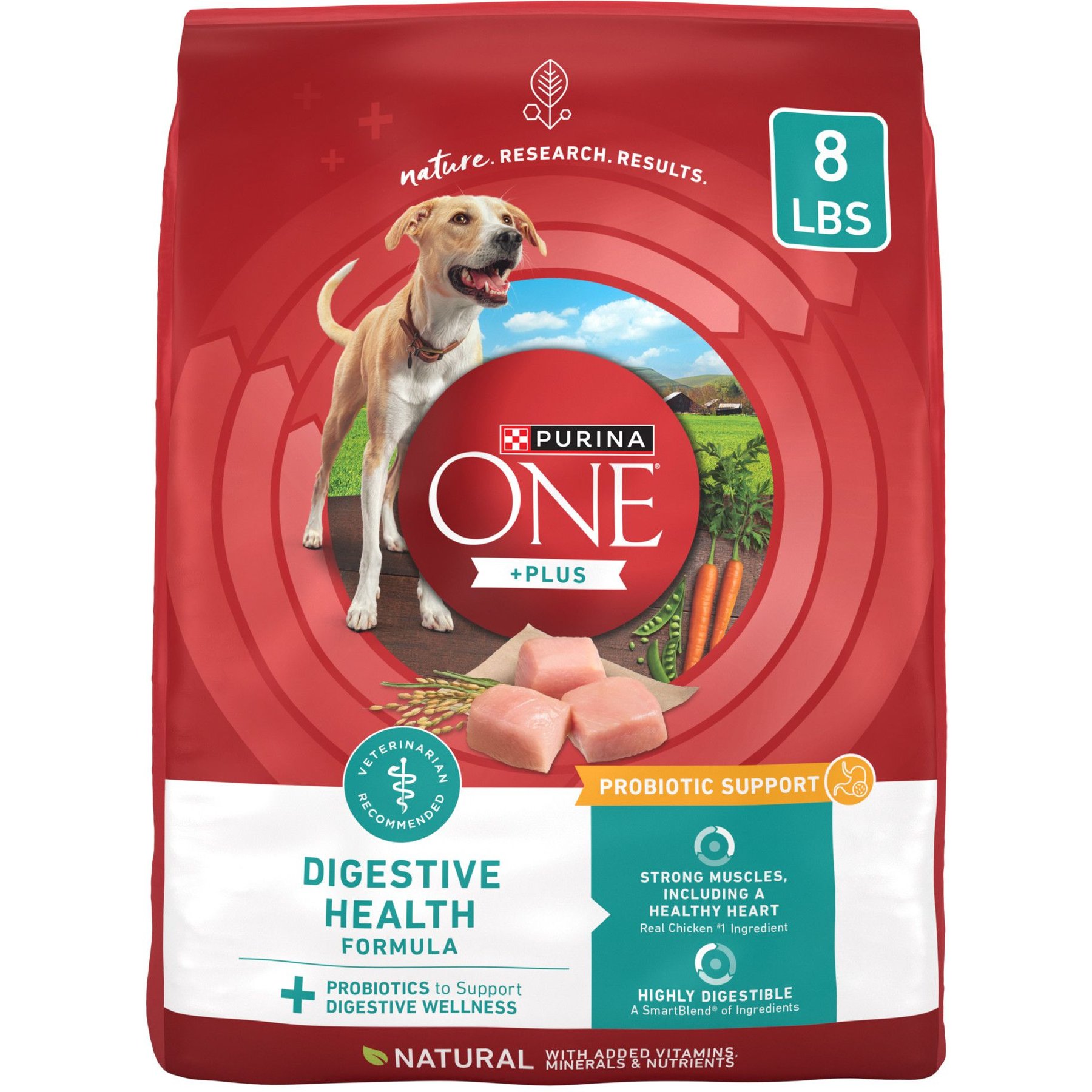 Purina ONE Plus Digestive Health Formula Dry Dog Food
