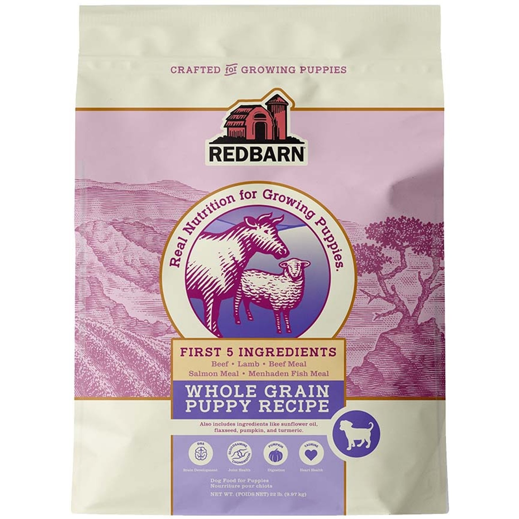 Redbarn Whole Grain Puppy Recipe Dry Dog Food