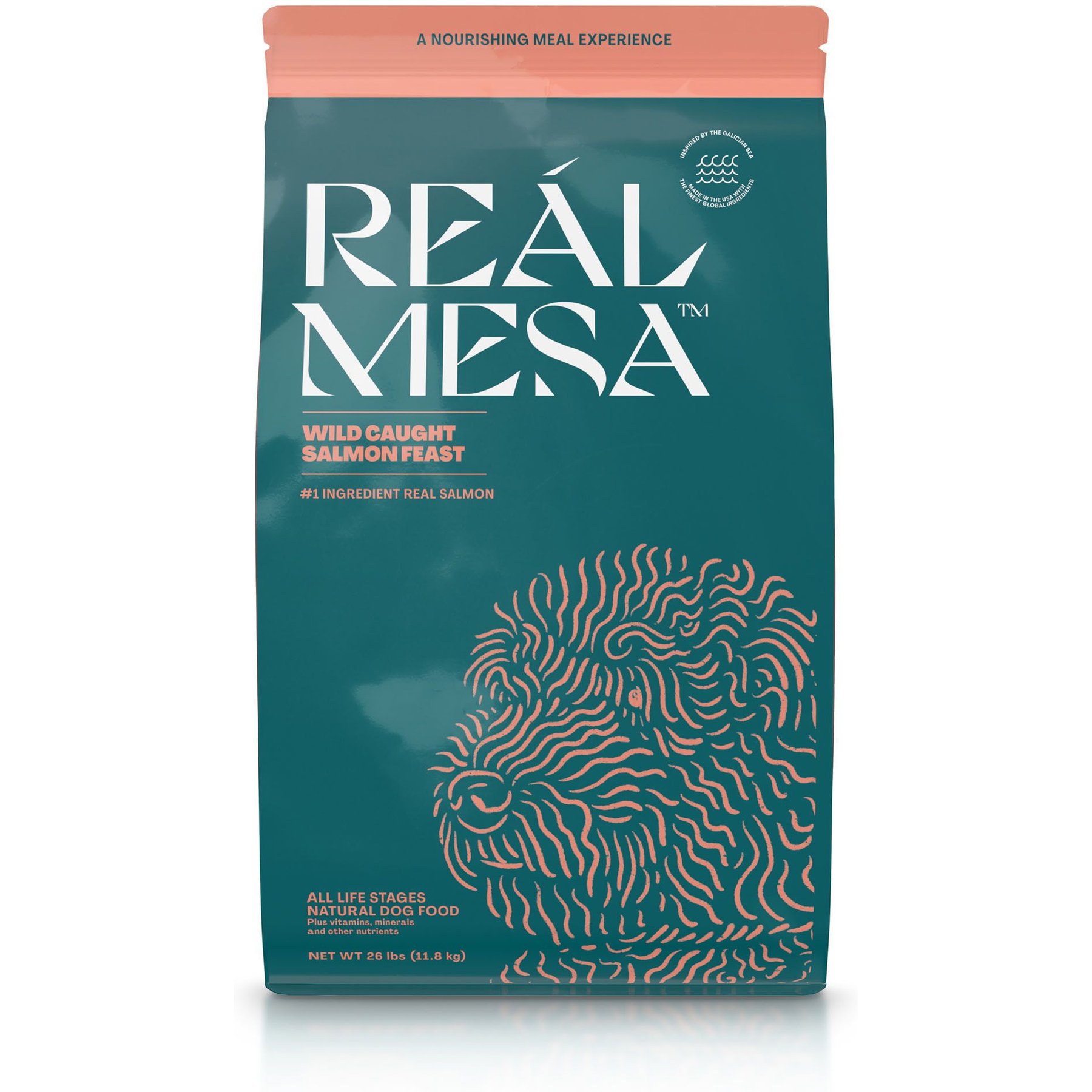 REÁL MESA Wild Caught Salmon Feast Dog Food